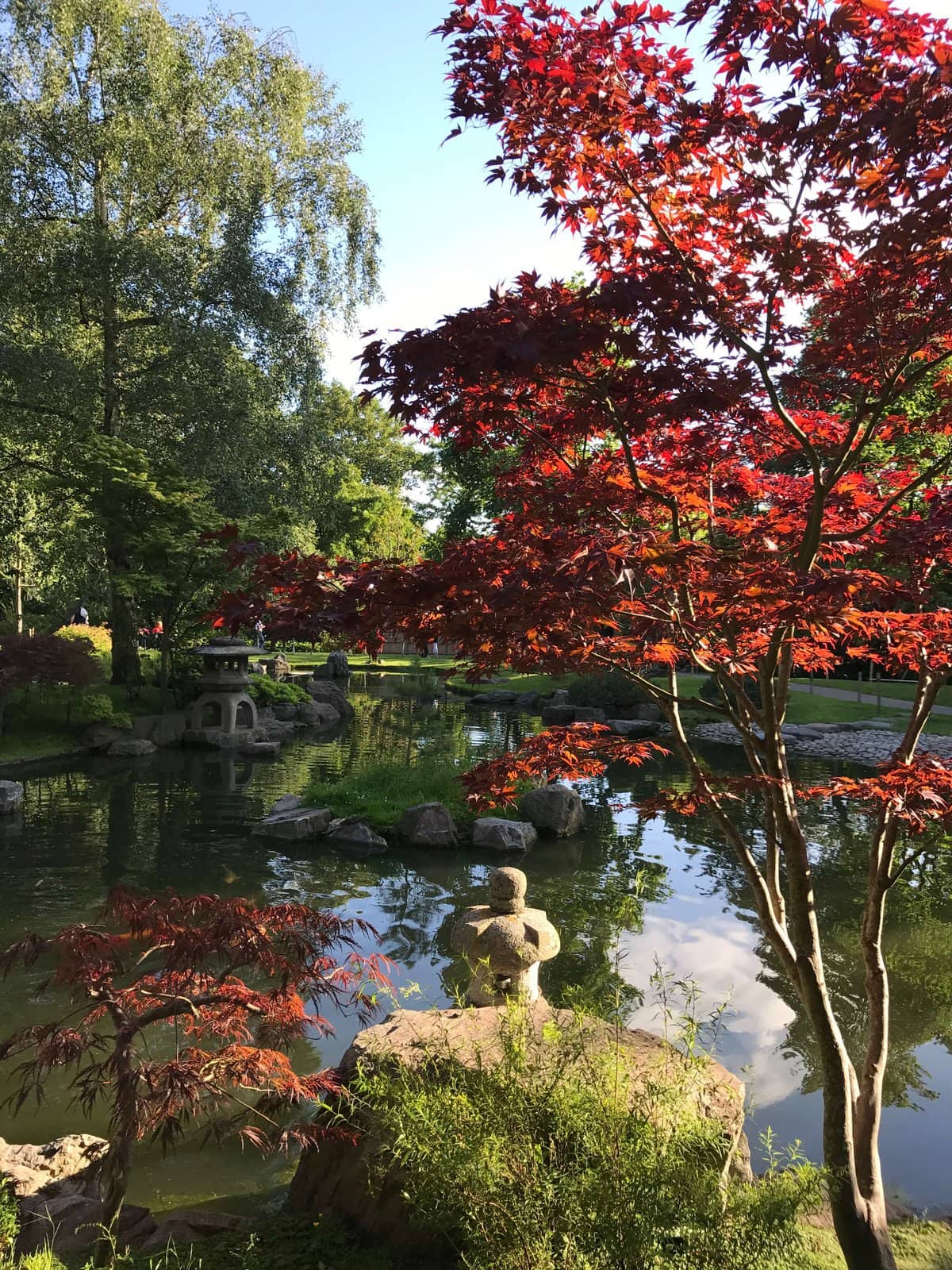 A Sense of Calmness in the Hustles of London 4 Japanese styled garden, kyoto garden, bonzai, zen, water, holland park, London