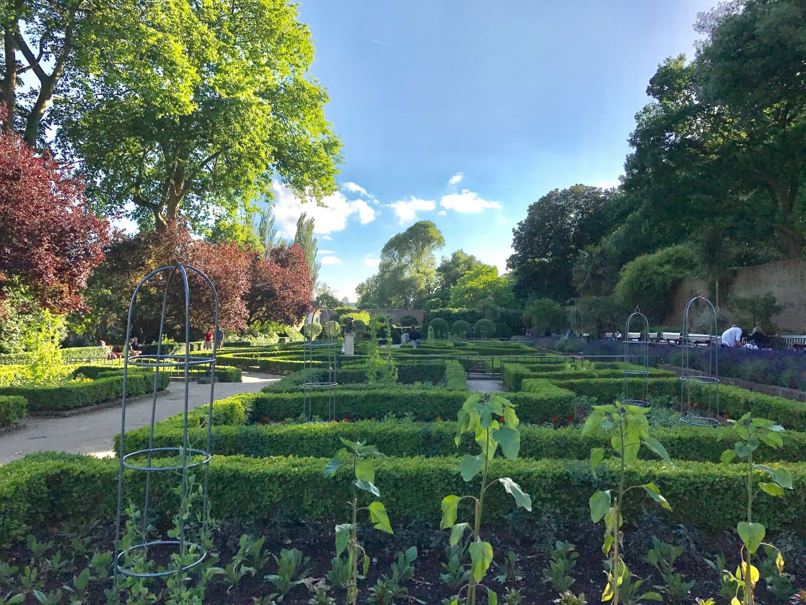 A Sense of Calmness in the Hustles of London 6 Dutch garden, evergreen, hedges, holland garden, London