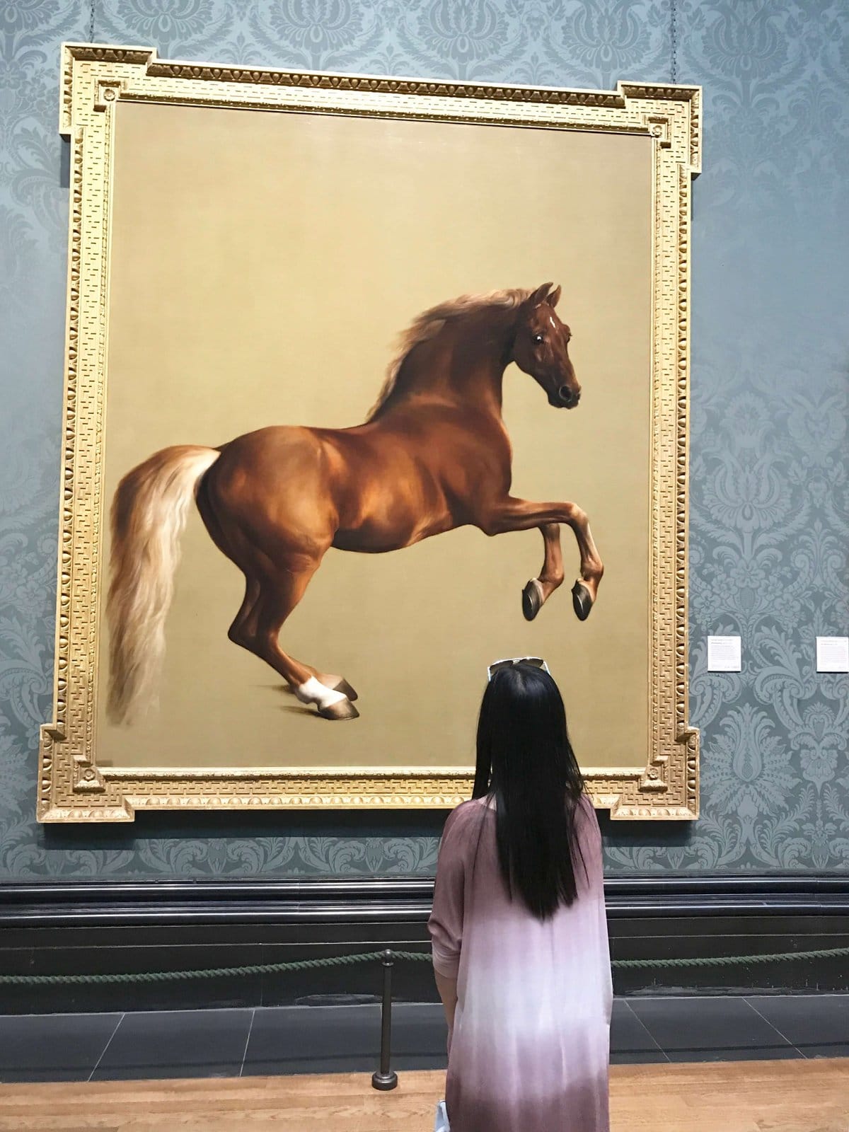 A Day in the Life of a London Tourist 23 National Gallery, art, painting, Whistlejacket, George Stubb