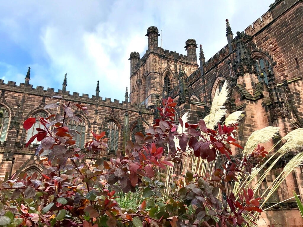 Weekend away in beautiful Chester 11 IMG E6787