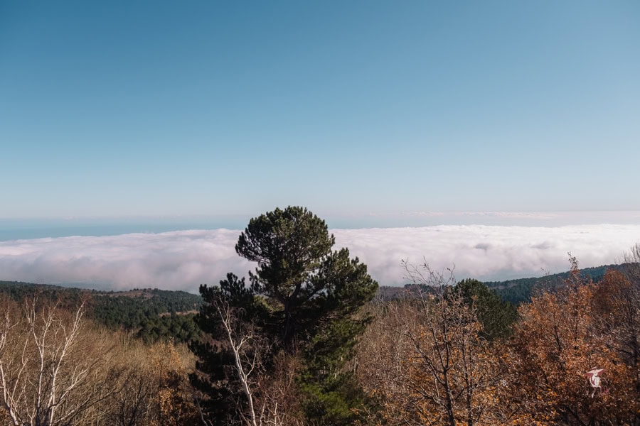 Exclusive trips to Mount Etna from catania: Elegant and Stress-free Options 23 Cloud-covered mountain landscape with trees in autumn, blue sky, and distant horizon.